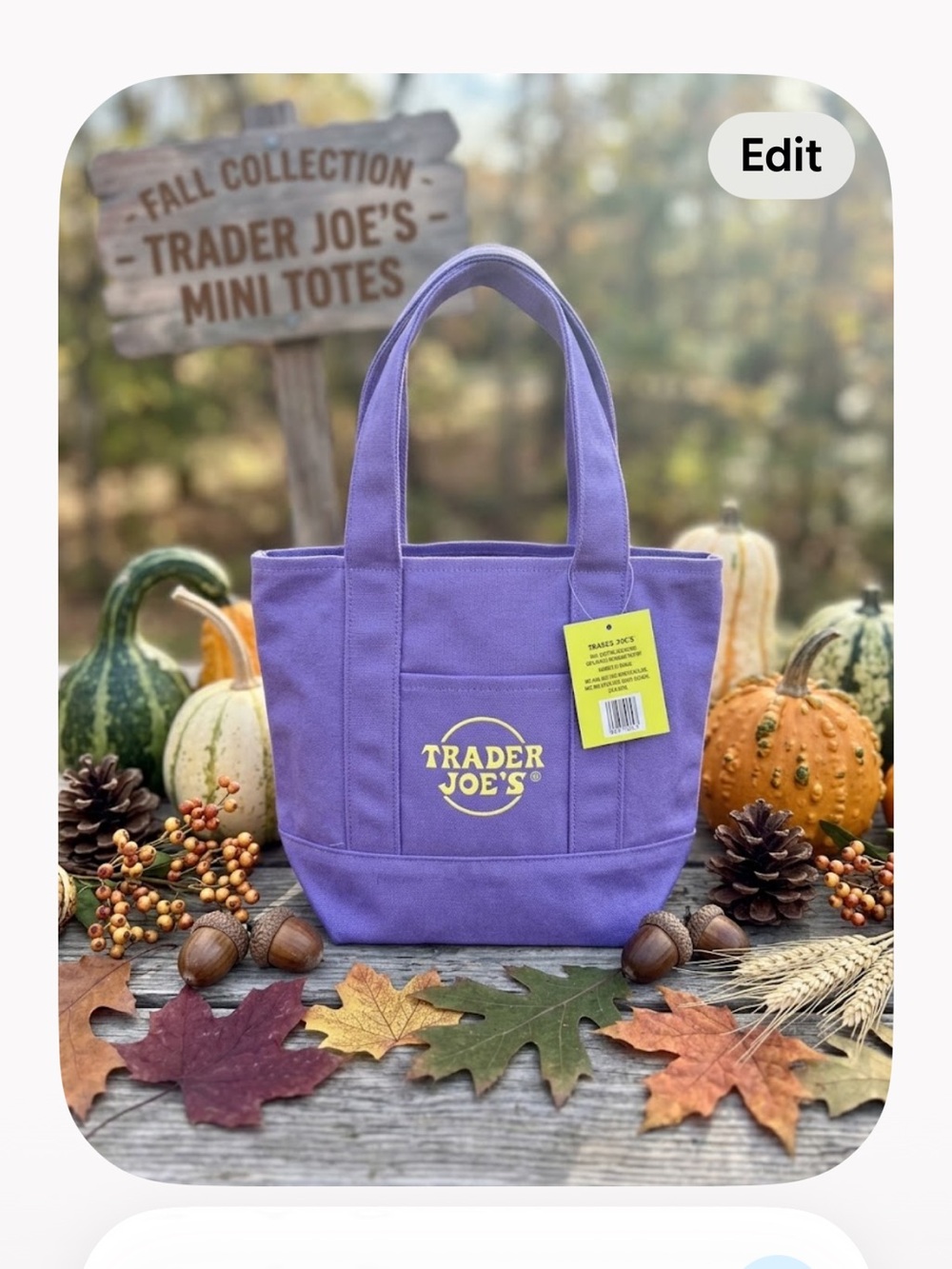 Purple Mini Tote Bag